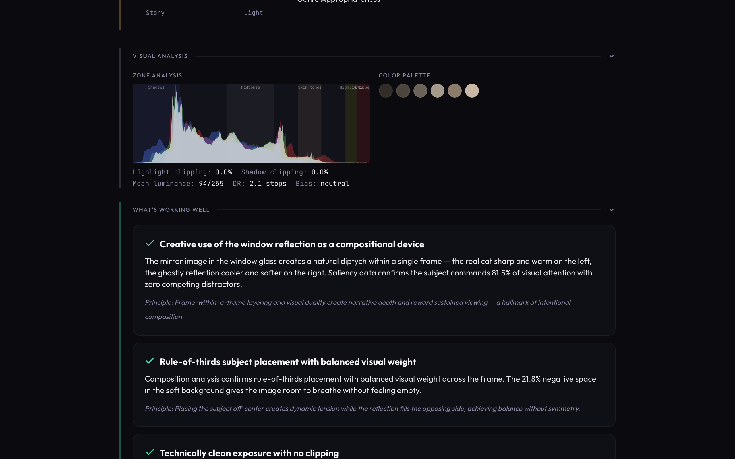 Menticora visual analysis showing histogram zone analysis, color palette, and detailed strengths identified in the photograph