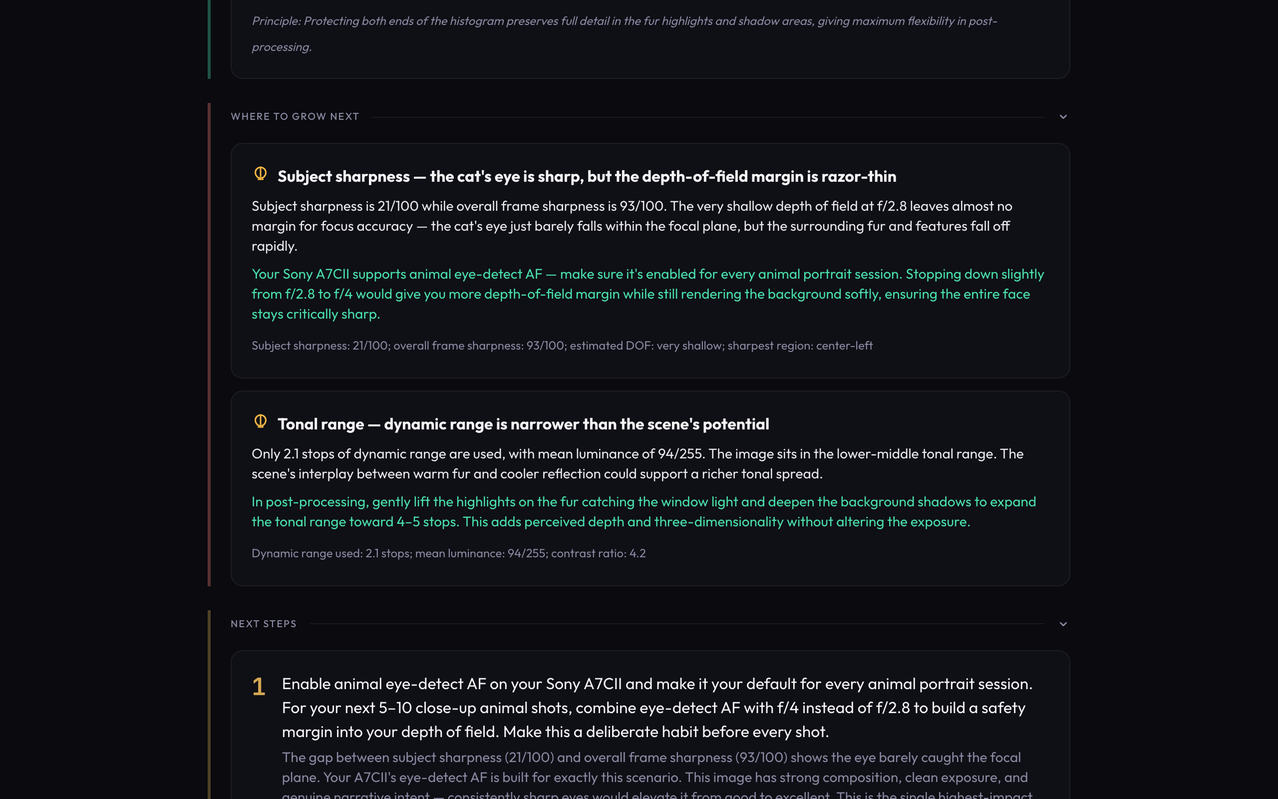 Menticora improvement suggestions and next steps for a photographer, showing specific actionable advice grounded in measurements