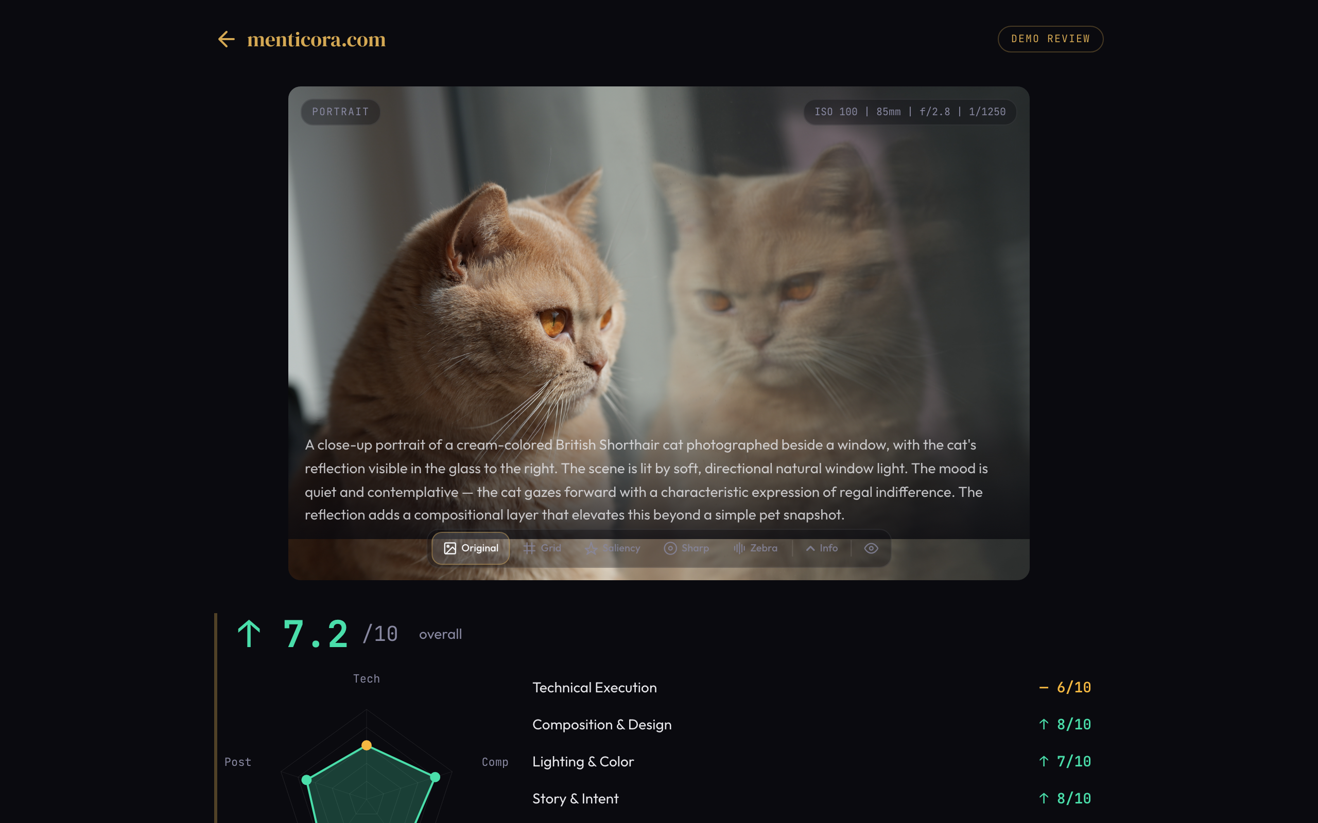 Menticora AI photo review showing a cat portrait with 7.2 overall score, radar chart, and dimension-by-dimension scoring
